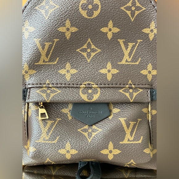 Louis Vuitton Palm Springs Mini - Picture 2 of 16